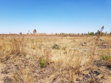 Commercial & Industrial Land