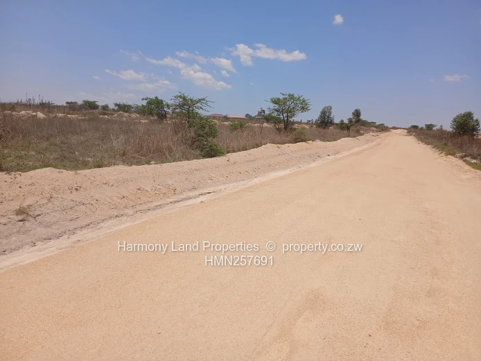 Executive Low Density Stands- Ridgemont Park, Rusape (Sole Mandate)