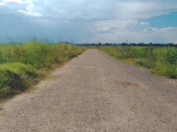 Commercial & Industrial Land