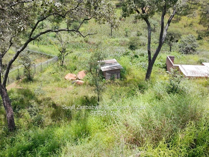 Elevated Luxury: Prime Residential Sanctuary in Shawasha Hills Estate