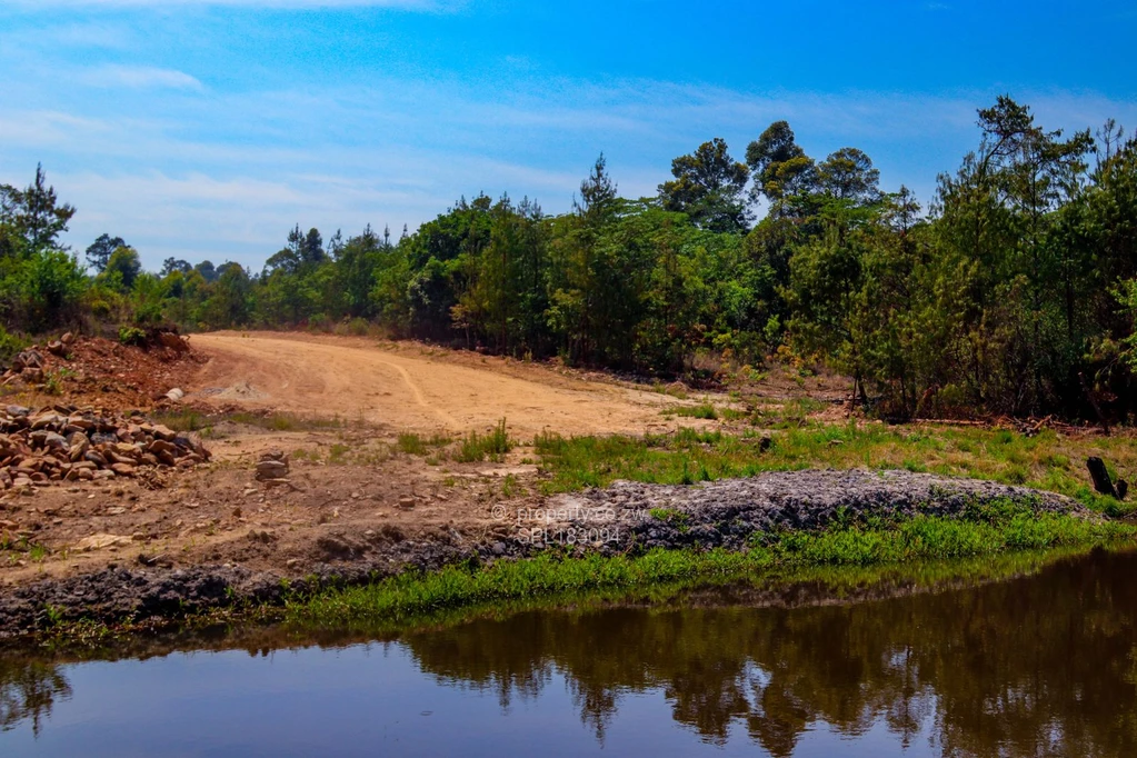 Stands & Residential Land for Sale in Nyanga SPL183094