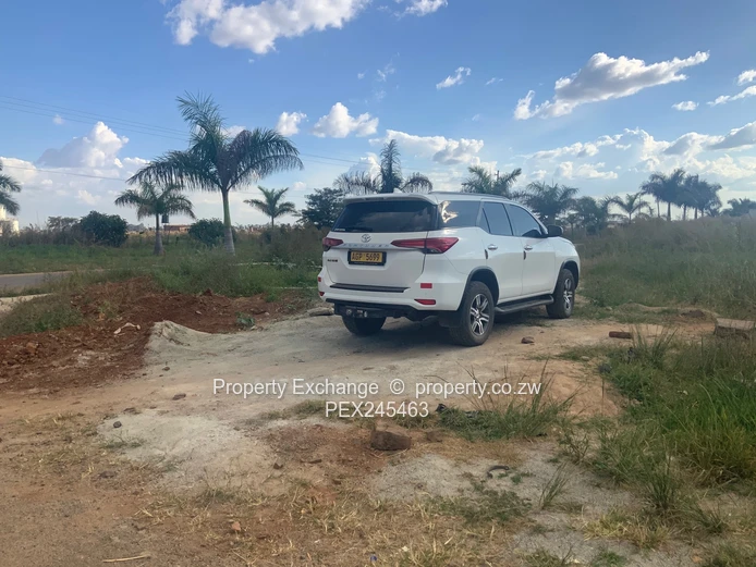 Haydon Park, Vacant Stand
