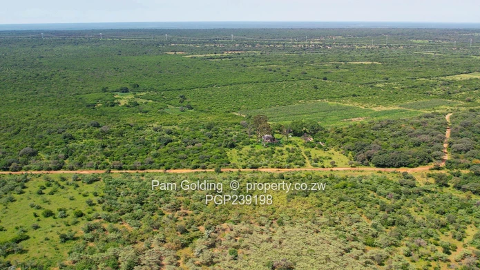Nyamandlovu 1026 farm for sale