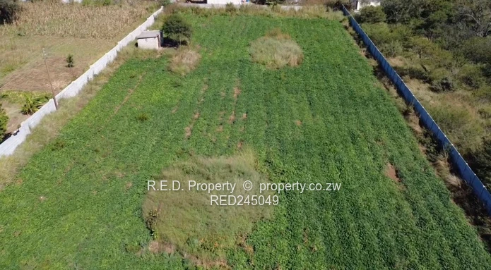 Vacant Stand In Killarney!