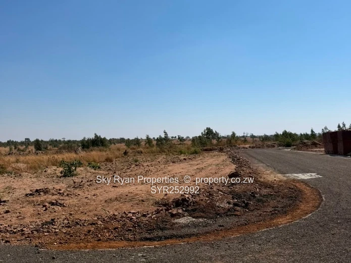 Nyabira Penrose Corner Stand For Sale
