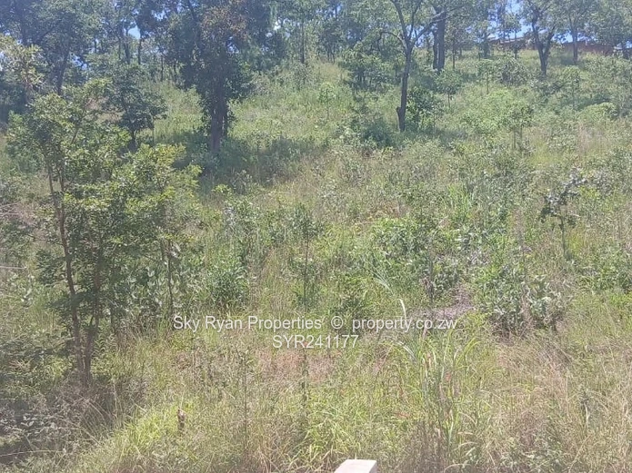 Carrick Creagh Borrowdale Stand For Sale