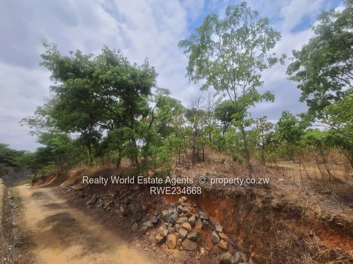 Glen Lorne 1.6ha Prime Land - Main Road Frontage