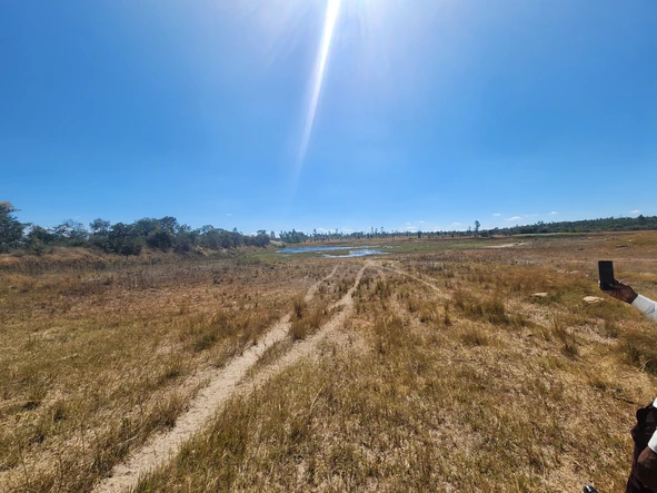 Farm & Agricultural Land