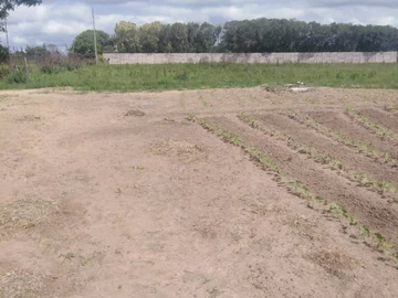 Farm & Agricultural Land