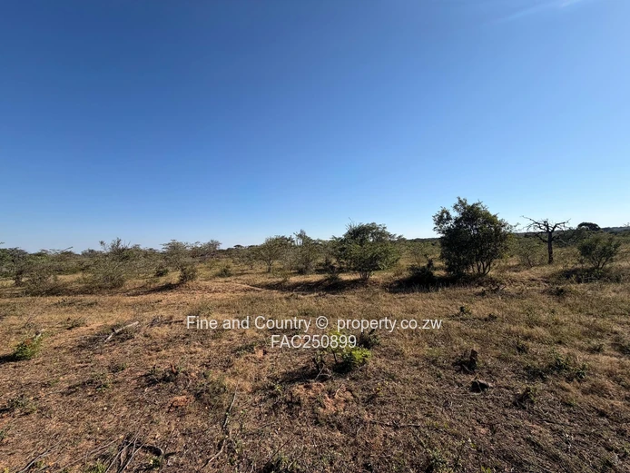 Agro-Residential Plots 10Ha-30Ha (Sole Mandate)
