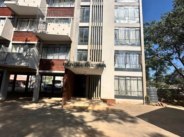 Flat & Apartment