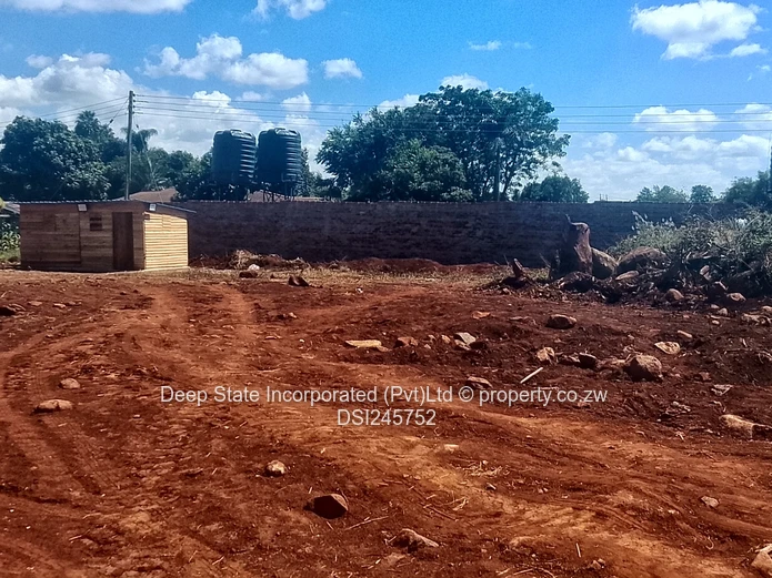 Bluff hill stand for sale  (Sole Mandate)