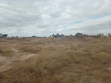 Farm & Agricultural Land