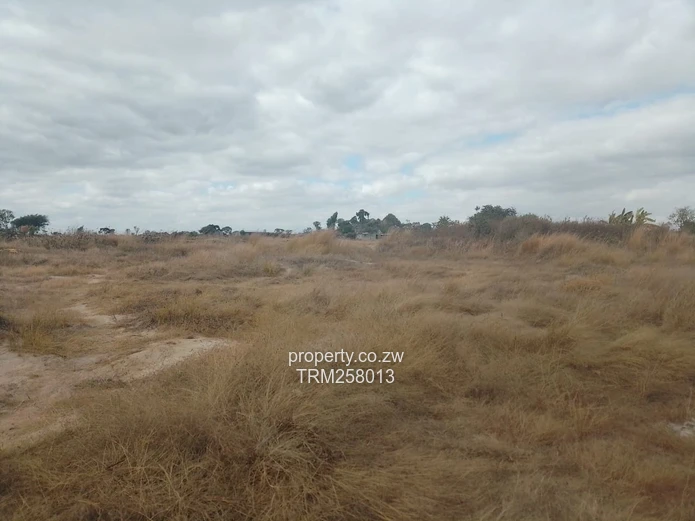 Sunnyside Central Agricultural plot for sale 