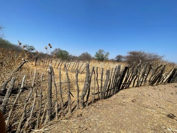 Farm & Agricultural Land