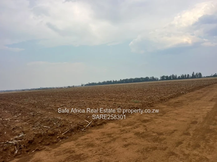 New Marlborough Residential Stands For Sale – Introductory Offer From Us$50/Sqm!