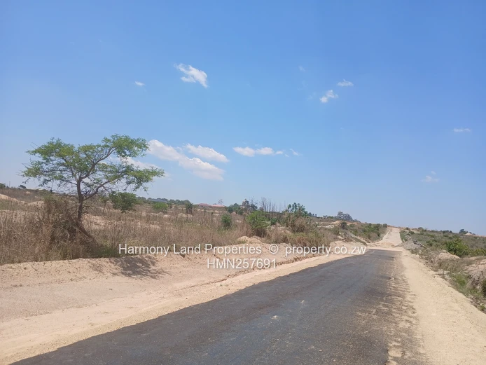 Executive Low Density Stands- Ridgemont Park, Rusape (Sole Mandate)