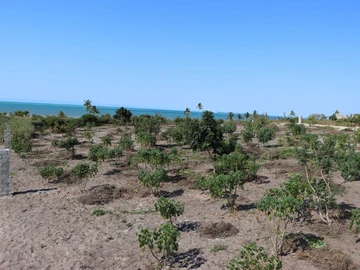 Commercial & Industrial Land