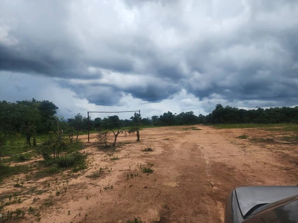 Farm & Agricultural Land