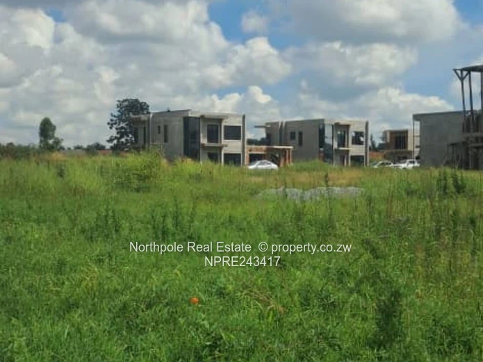 Pleasant Valley Stand For Sale