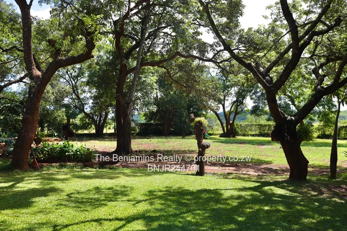 House for sale in Bushmead Masvingo (Sole Mandate)