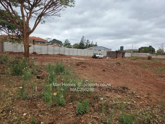 Ready to Build Stand for Sale