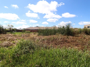 Stands & Residential Land