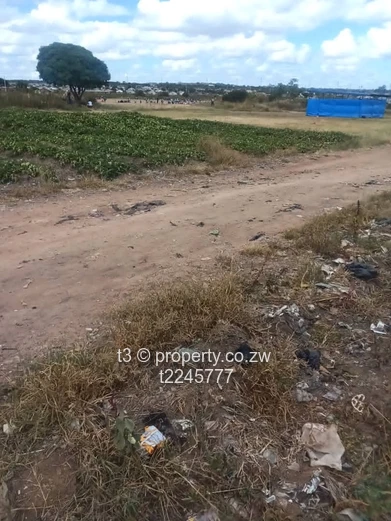 Budiriro 4 Commercial Stand 