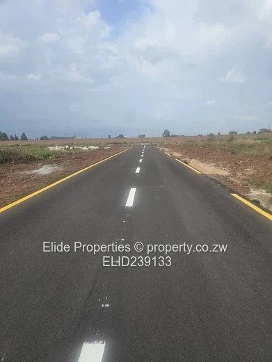 Spitzkop Phase 1 Stand For Sale (Sole Mandate)