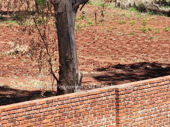 Chishawasha (Gletwin) stand for sale