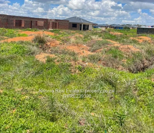 450sqm stands available in Zimrepark 