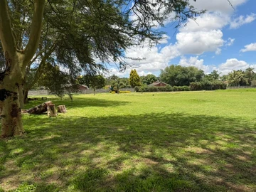 Commercial & Industrial Land