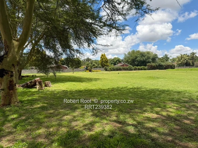 Investor's Delight, Commercial Land 