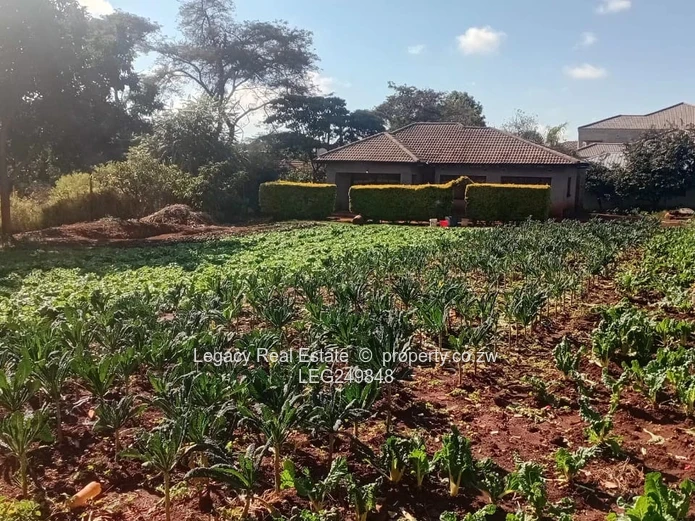 Shawasha Hills Investment Opportunity | Huge Stand | Ready To Expand WITH a Cottage