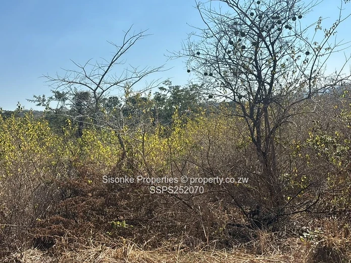Prime Development Opportunity In Shawasha Hillsprime Development Opportunity In Shawasha Hill