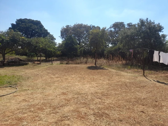 Stands & Residential Land
