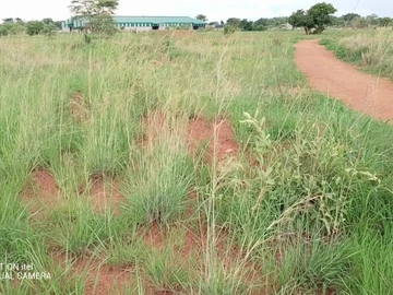 Commercial & Industrial Land