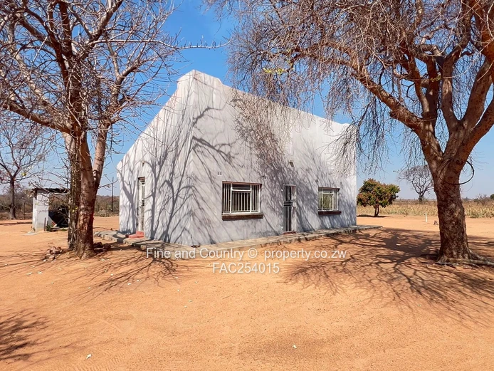 Prime Plot on the Main Road