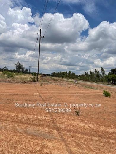 Investment Opportunity