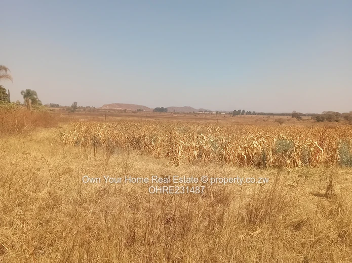 Mount Hampden Plot For Sale 