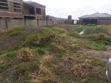 Stands & Residential Land