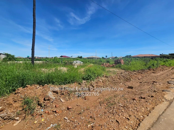 Stands!! Stands!! Stands!!