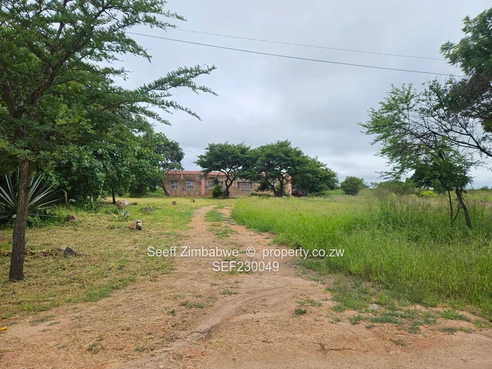 Incomplete cottage on a spacious piece of land 