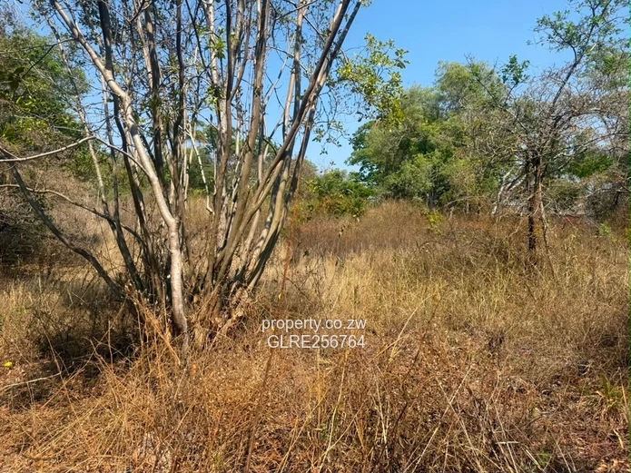 41ha Borrowdale Acreage with Mature Trees & Road Frontage