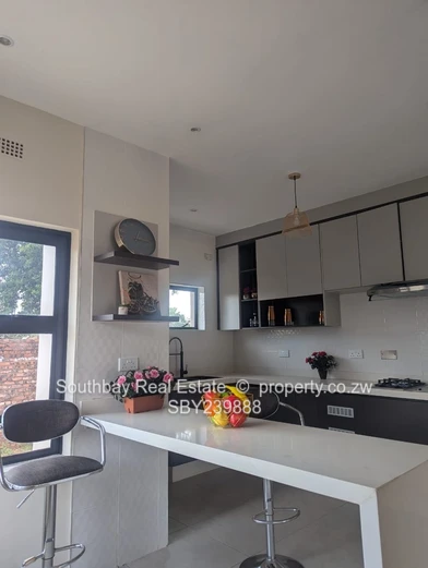 Investment Opportunity