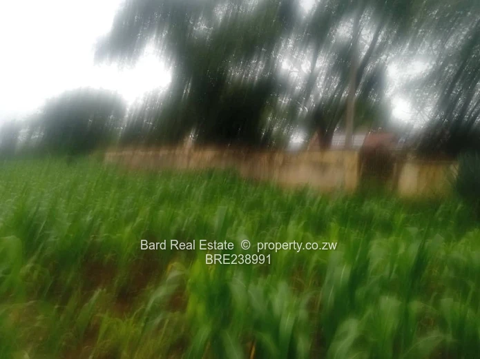 26ha Borrowdale — Subdivide-Ready, Main Road Frontage