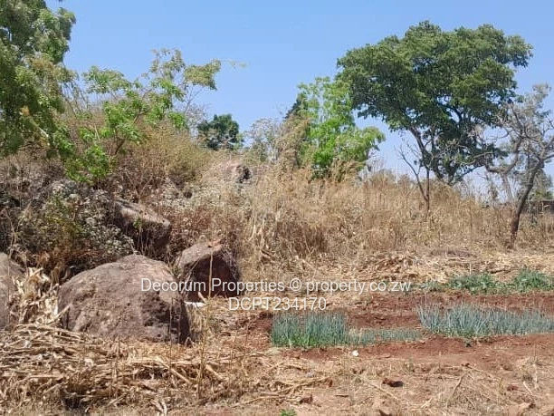 2600sqm Main-Road Stand — Tarred Road, Access Control