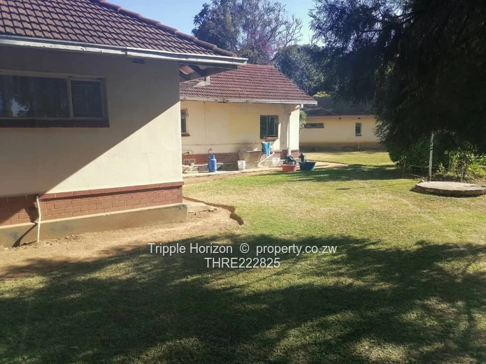 Massive Investment Opportunity 