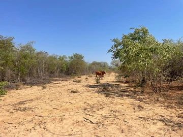 Investment Opportunity near Victoria Falls