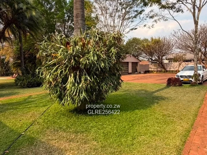 Spacious 4-Bed Emerald Hill Home with Lush Garden & Solar